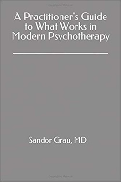 A Practitioner’S Guide To What Works In Modern Psychotherapy